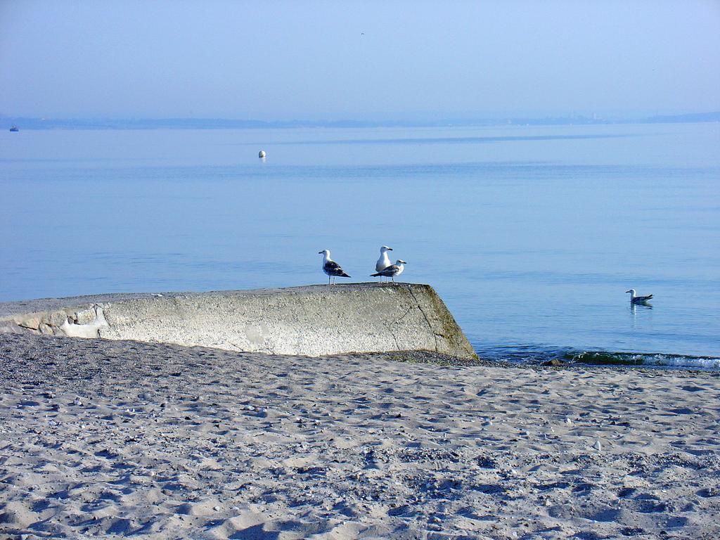 Fewo Machedanz Am Hafen Timmendorfer Strand Ot Niendorf Extérieur photo